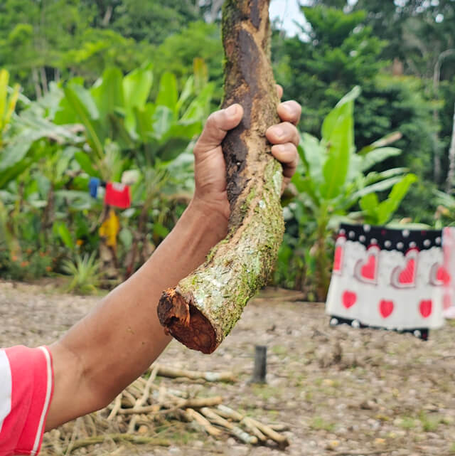 Yagé juice 